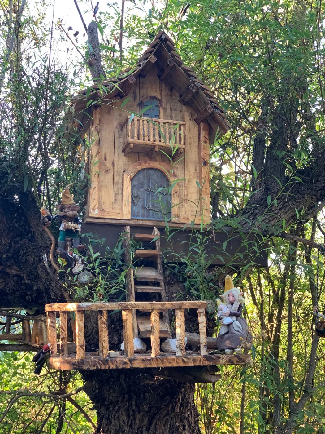 El Bosque Mágico